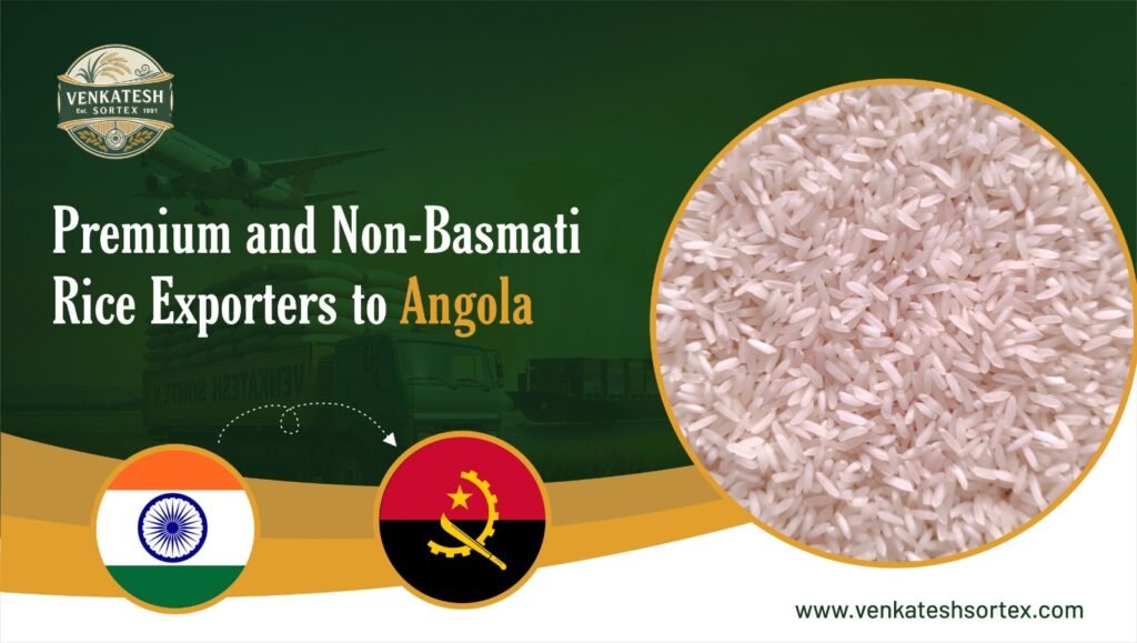 Angola - Venkatesh Sortex