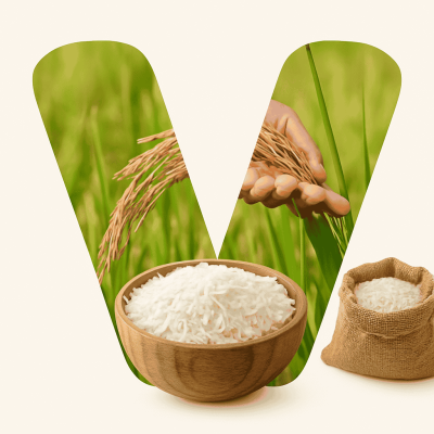 ChatGPT Image Sep 18, 2025, 11_40_52 AM (1)